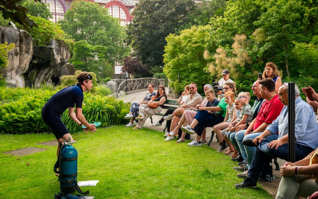 ZOO Antwerp opens the summer with successful ZOO storytelling: An enchanting experience for visitors