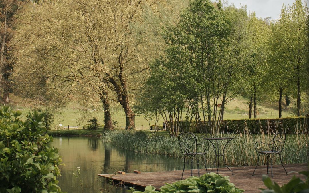 3x voordelen van vergaderen in het groen – Landgoed Altenbroek