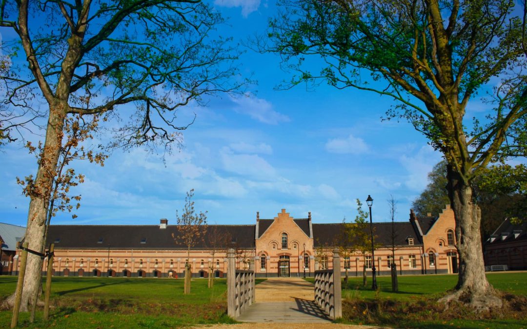 Vergaderen in het groen bij Colonie7